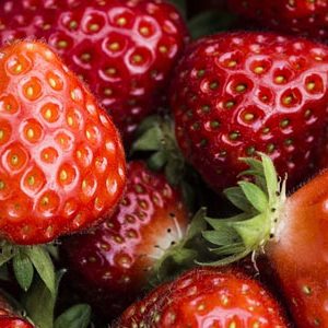 fraises REUTENAUER SAVERNE